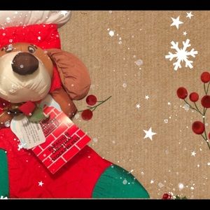 Christmas 🎄HP🎄stocking pet 🐶